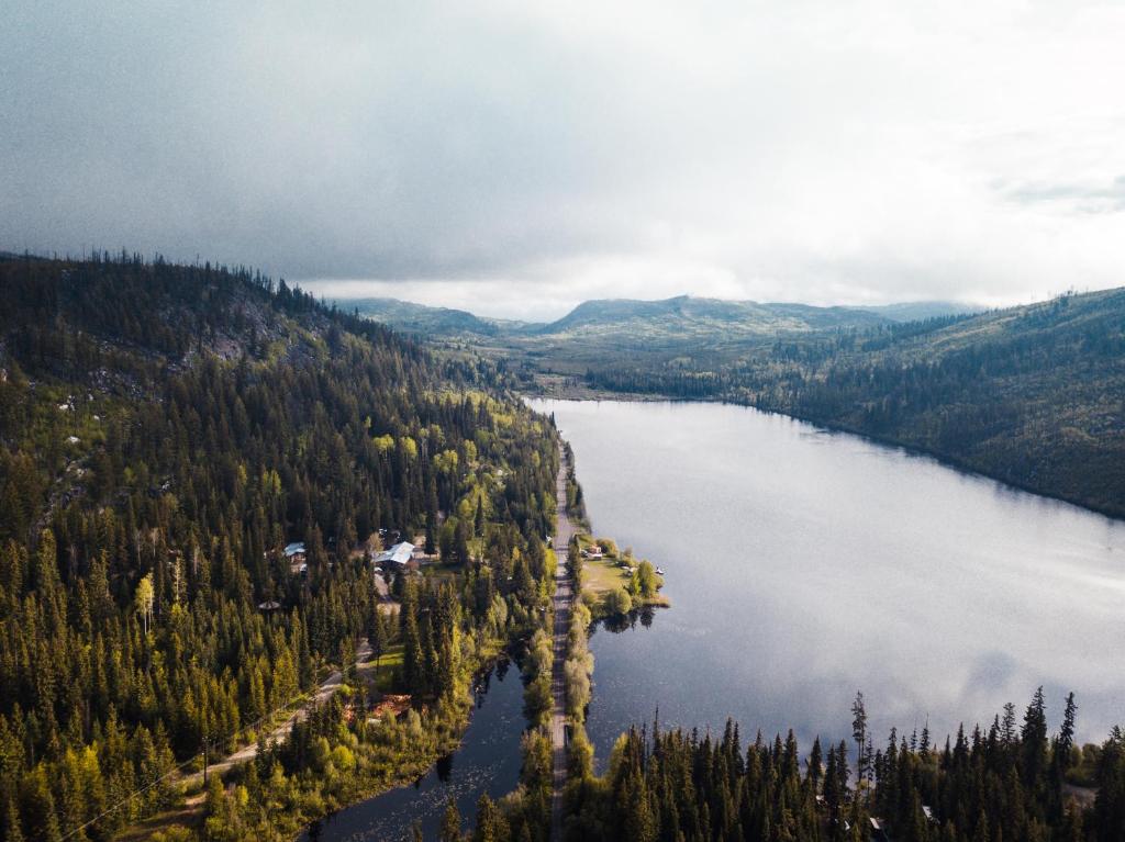 an aerial view of a lake in the middle of a forest at Chute Lake Lodge in Naramata