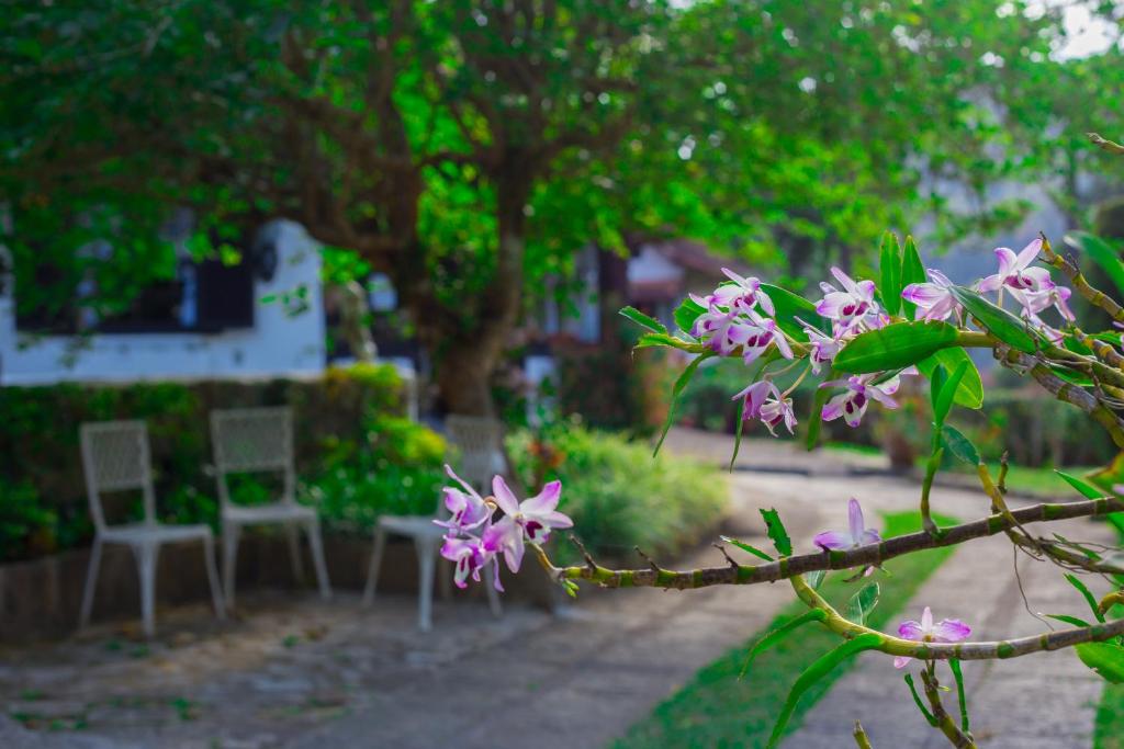 Pousada Taverna do Golf