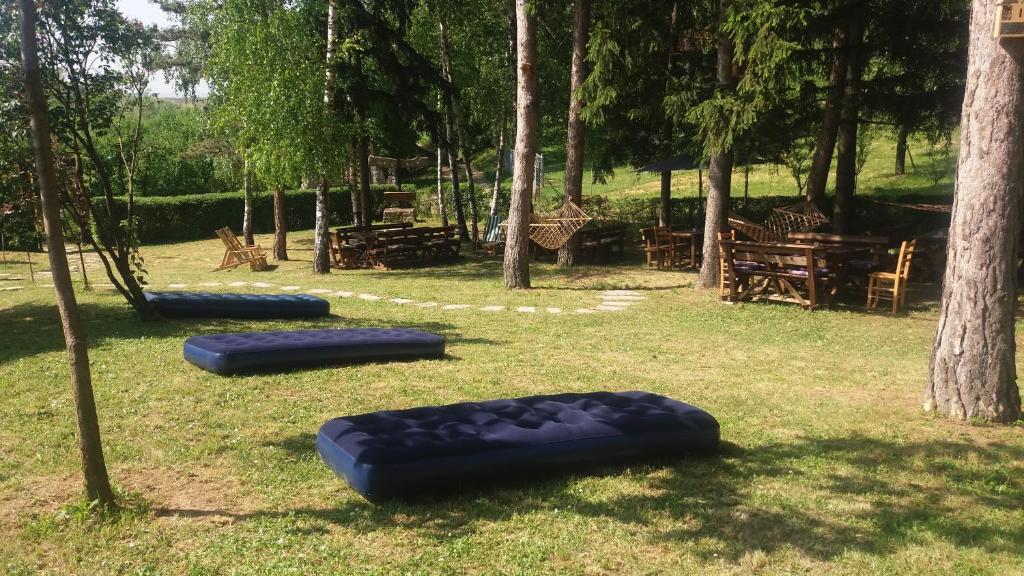 Zahrada ubytování Vila Davidovic-Fruska gora