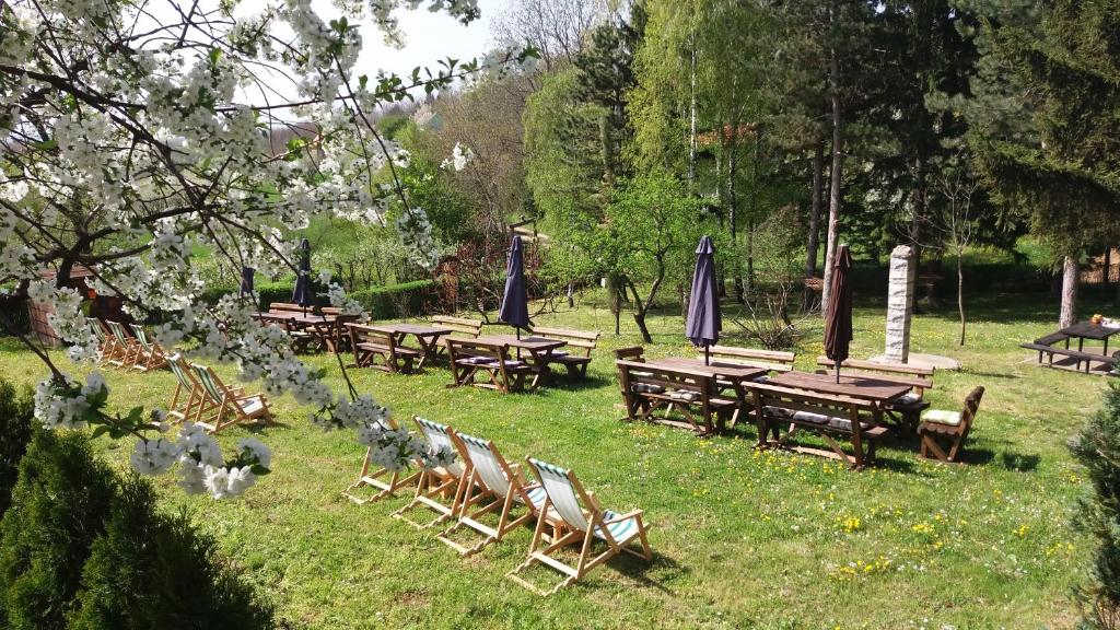 Zahrada ubytování Vila Davidovic-Fruska gora