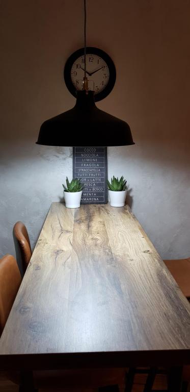 兹拉蒂博尔Titova Vila apartmani JOVANKA的木桌,上面有两株植物