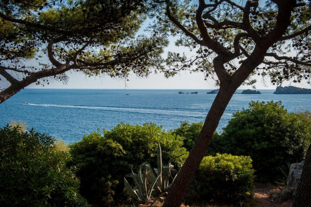 Royal Princess Hotel - Resim 39