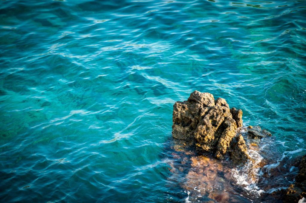 Royal Princess Hotel - Resim 42