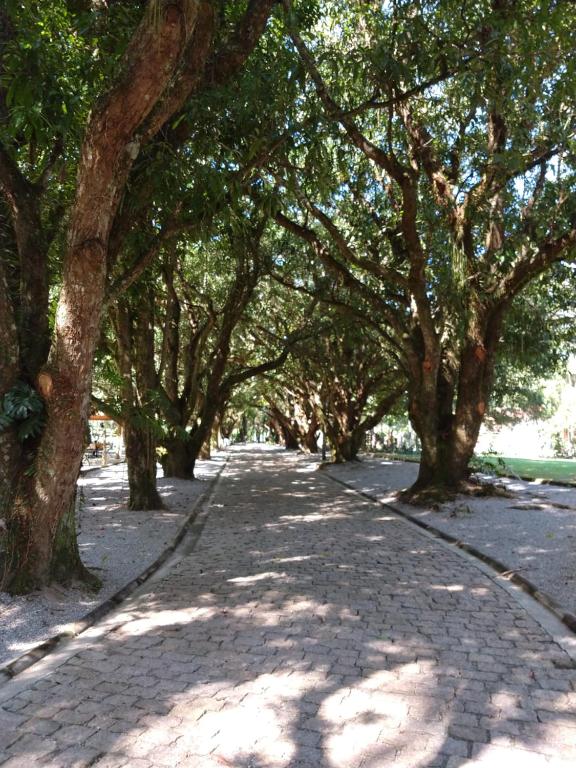  Espaço Santa Eufrásia