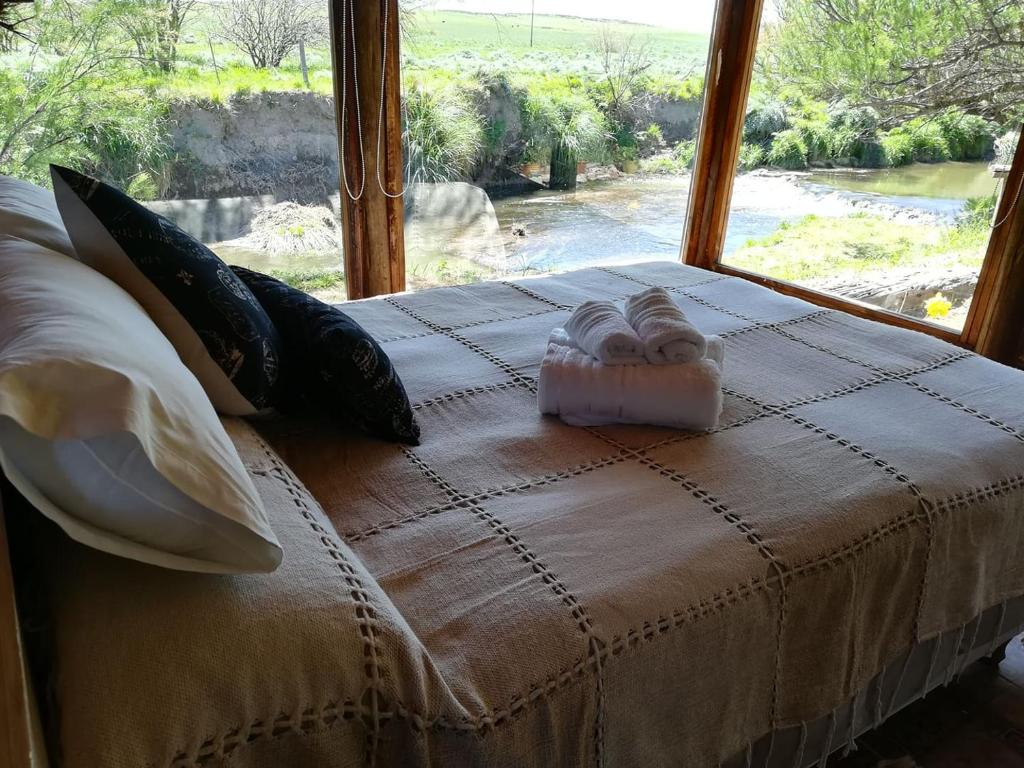 a bed with a window looking out at a river at Cabaña Exclusiva in Bahía Blanca