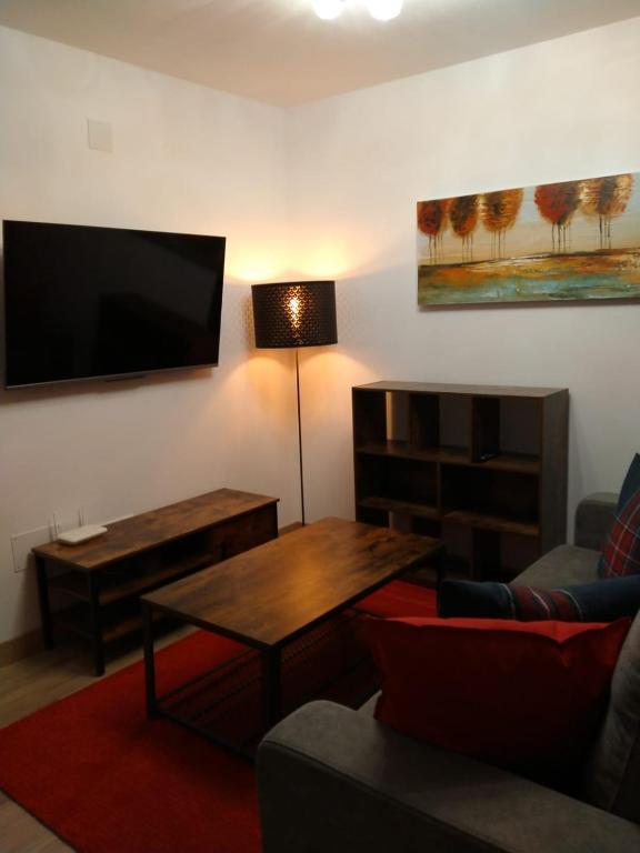 TV a/nebo společenská místnost v ubytování Apartamentos La Glera Biescas