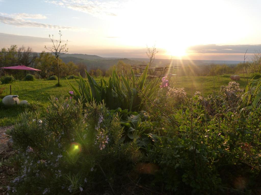 Příroda nedaleko bed and breakfast