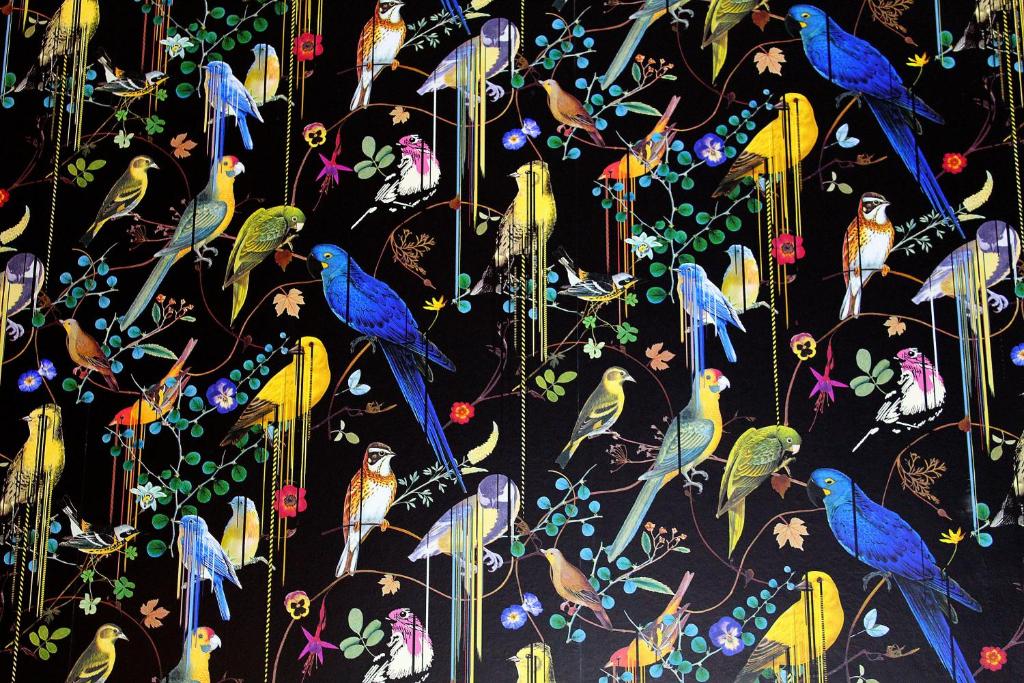 24 Royal Terrace - Resim 30