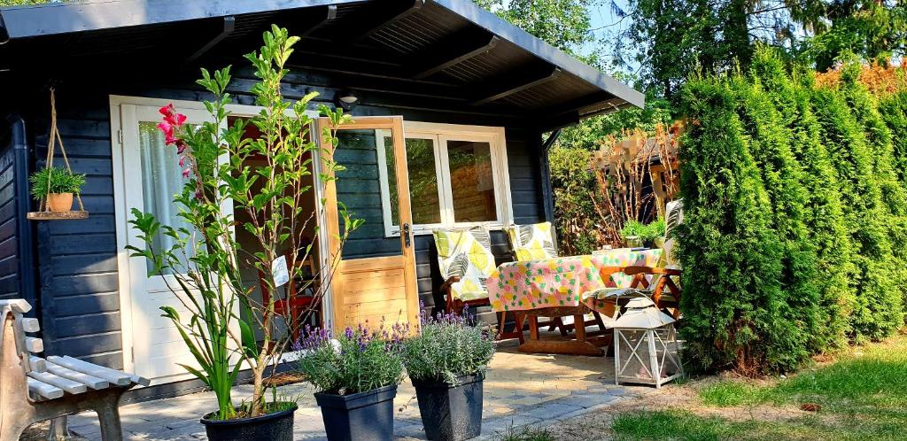 GUESTHOUSE vakantiehuis in een mooie tuin in het centrum van Zuidlaren! - Holiday Home