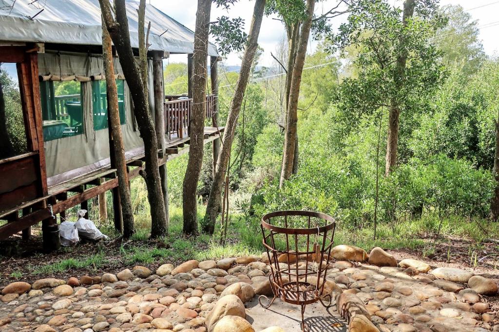 Zahrada ubytování Fernhill Tented Treehouses