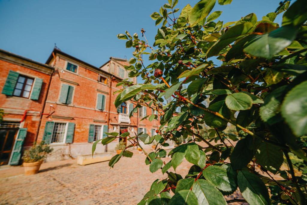Tenuta Ca' Zen