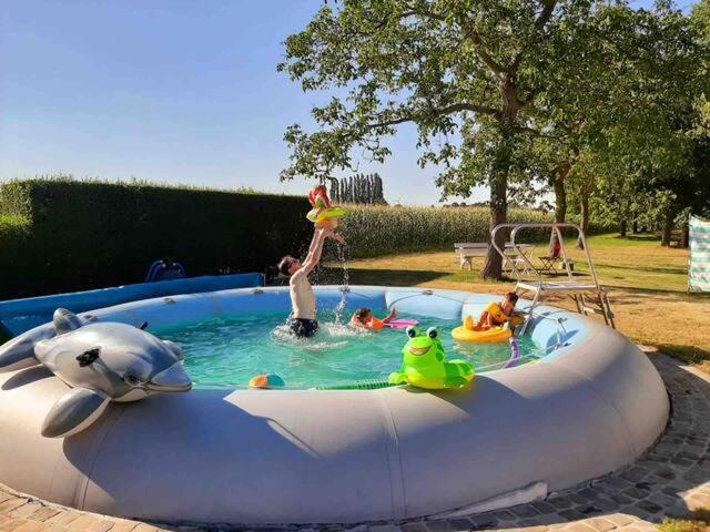 un groupe de personnes dans une piscine avec un dauphin gonflable dans l'établissement Vakantiehuis Wandelen en fietsen in de Kalkense Meersen dichtbij Gent, à Laarne