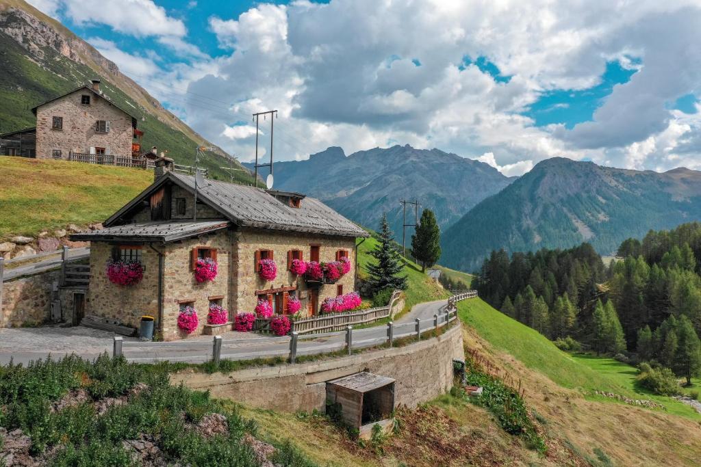 a building on a hill with flowers on it at Baita Luleta in Livigno