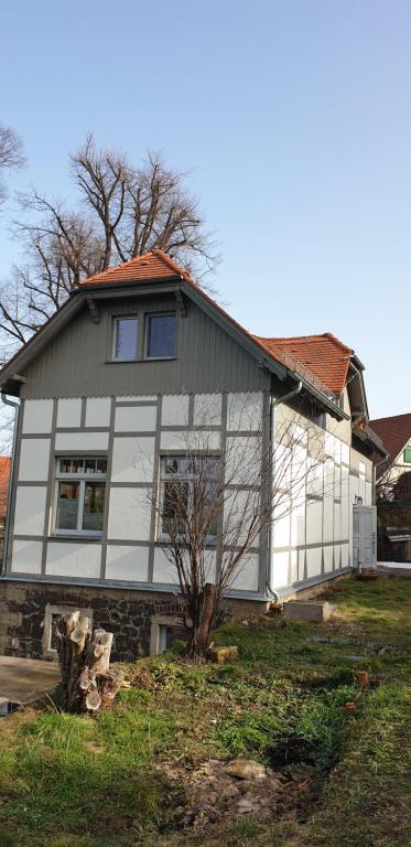 ein weißes und graues Haus mit einem Baum davor in der Unterkunft Fliederhaus Dresden in Dresden