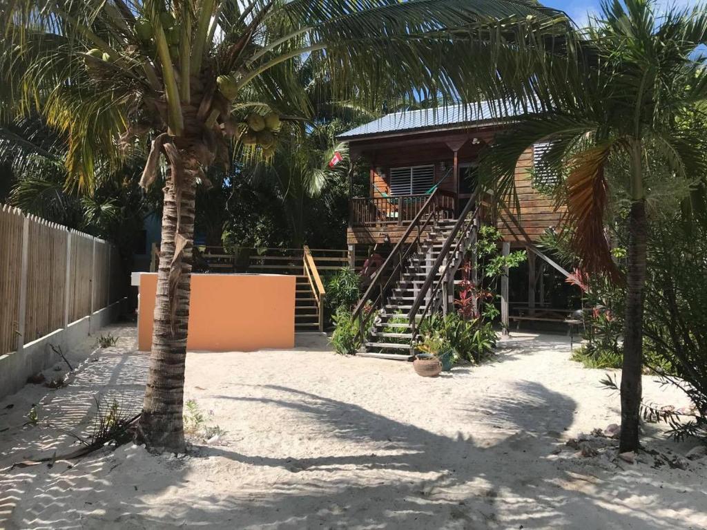 a house on the beach with palm trees at The Tranquila Caye- Gold Standard Certified in Caye Caulker
