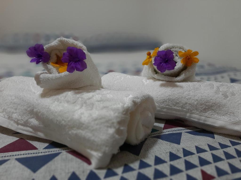  Raizes de Noronha