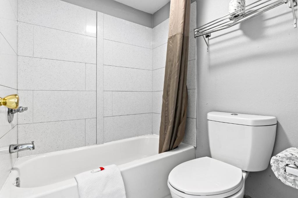 Econo Lodge Inn & Suites Virginia Beach - Norfolk - 双人间 - 带两张双人床 - 无障碍/禁烟
