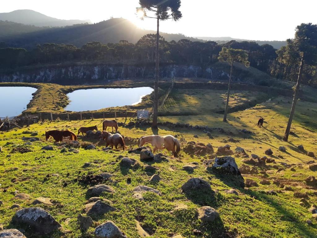  Pousada Rural Vale Da Neblina