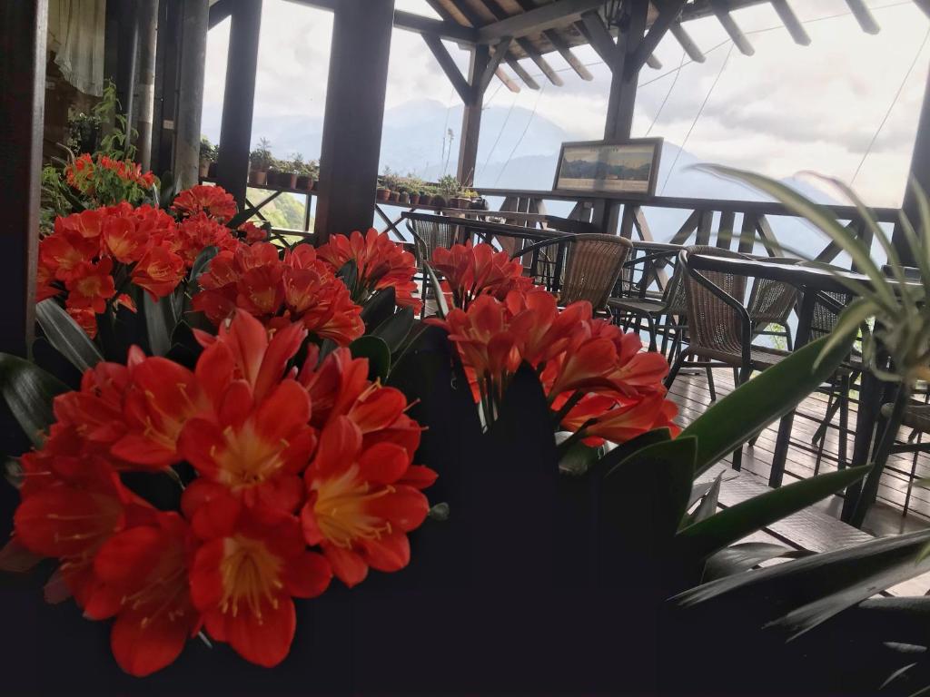 Balkon ili terasa u objektu Tian Hsiang Tea B&B