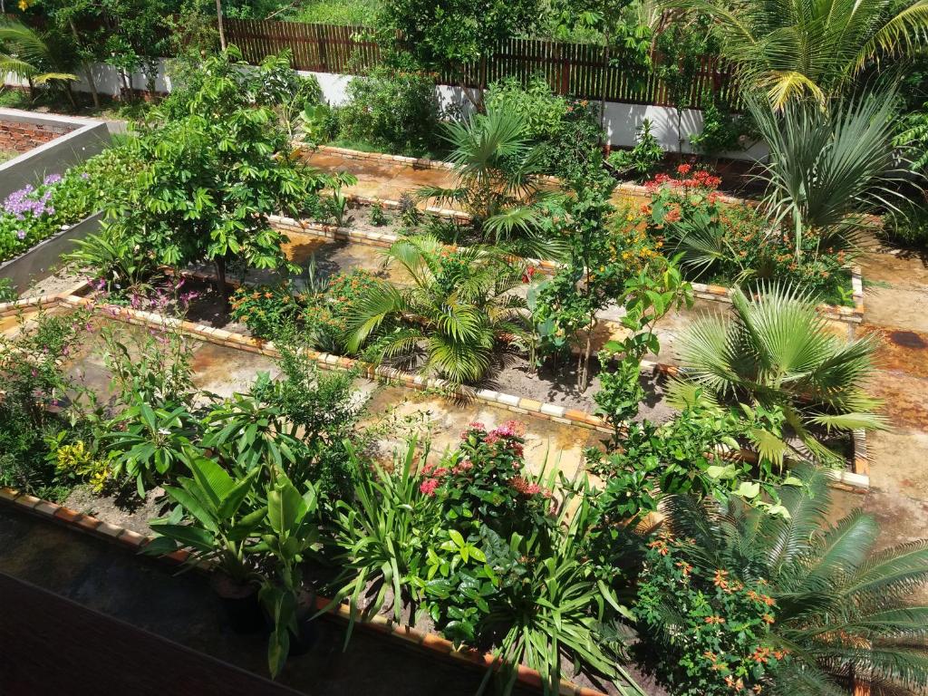 Sunset Barrinha  Sunset Barrinha