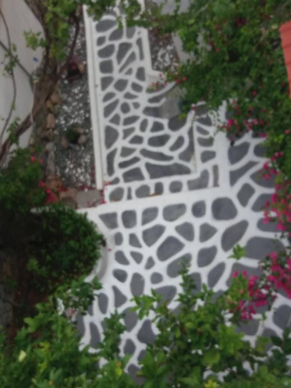 Fotografie z fotogalerie ubytování studio in garden v destinaci Poros