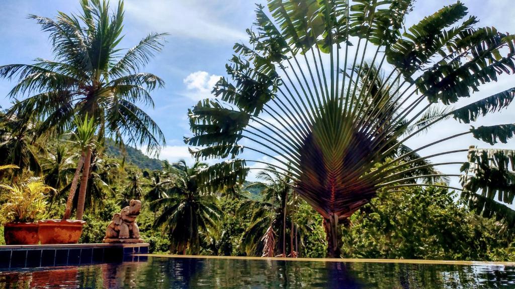 Zahrada ubytování Koh Samui Palm View Villa