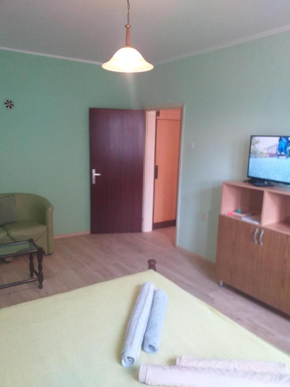 TV a/nebo společenská místnost v ubytování Apartment Gajic