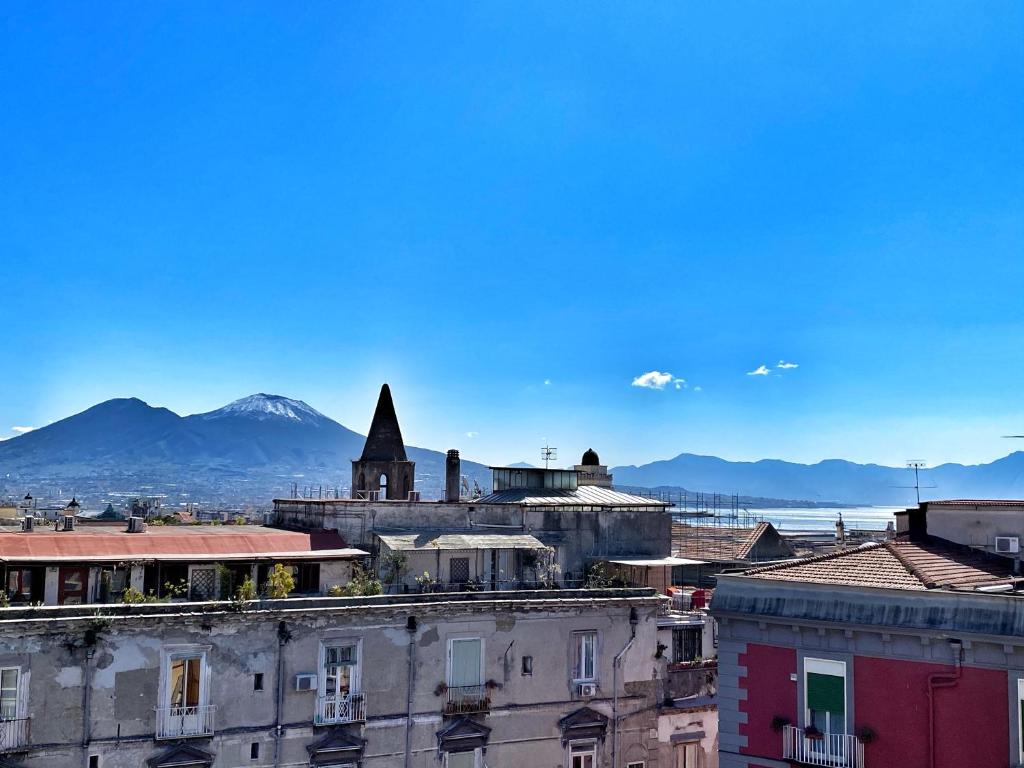 uma vista para uma cidade com montanhas ao fundo em Bellini View em Nápoles