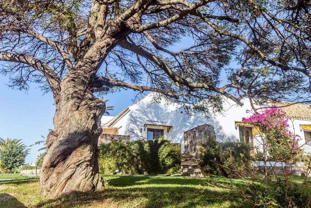 a tree in front of a white house at El Cortijo de Zahara by QHotels in Zahara de los Atunes