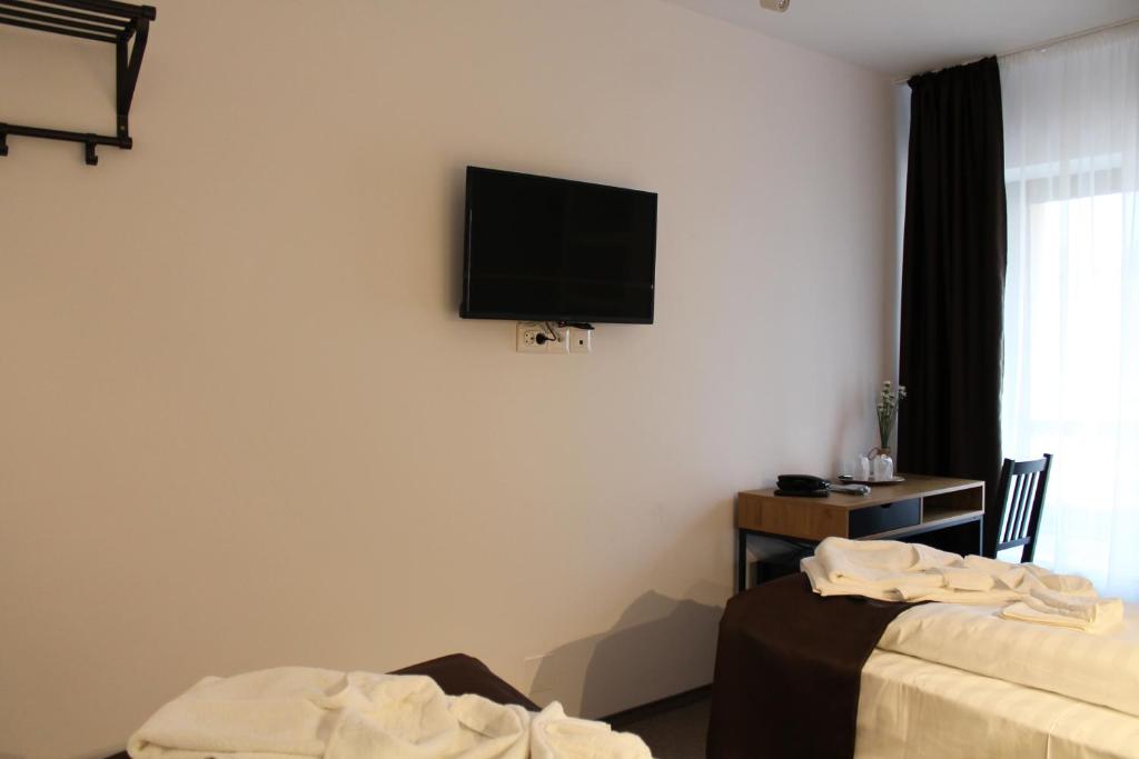 TV a/nebo společenská místnost v ubytování Hotel Parang