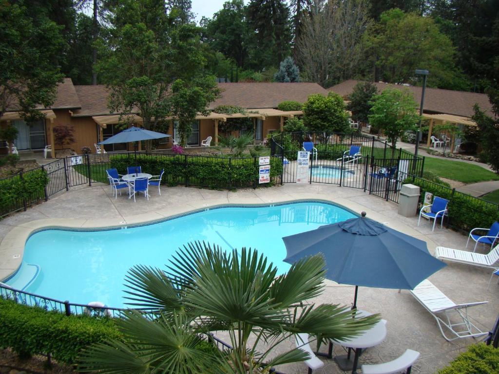 una gran piscina con sillas y sombrilla en Ponderosa Gardens Motel, en Paradise