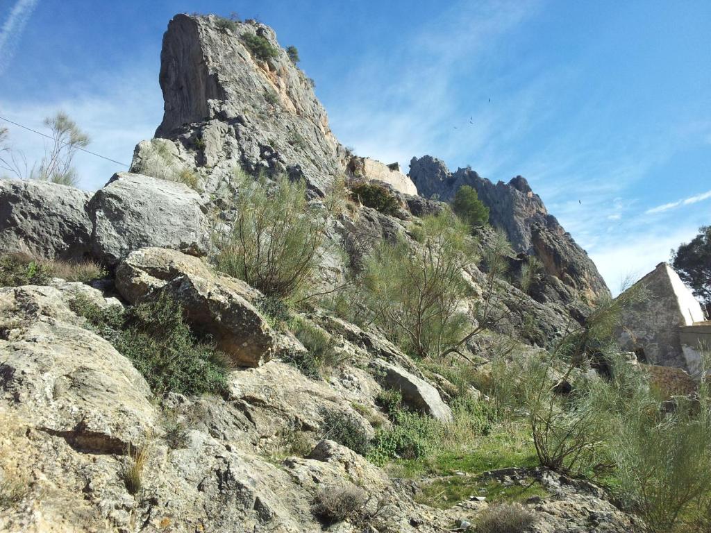 Fotografie z fotogalerie ubytování Cueva-Luna-Azul v destinaci Cuevas del Campo