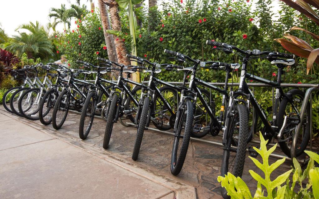 Ciclismo em Maui Coast Hotel ou nos arredores