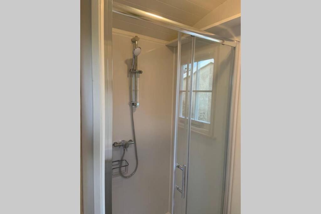 a shower with a glass door in a bathroom at Trevone Luxury Shepherds hut close to the beach in Saint Merryn