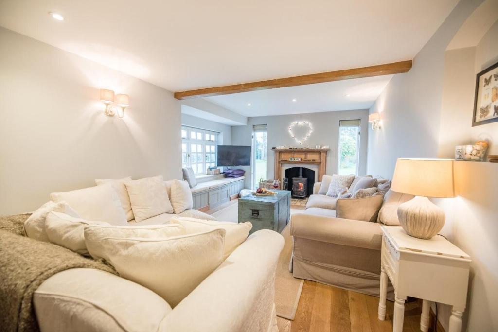 a living room with two couches and a fireplace at 46 Ivy Cottage Air Manage Suffolk in Woodbridge