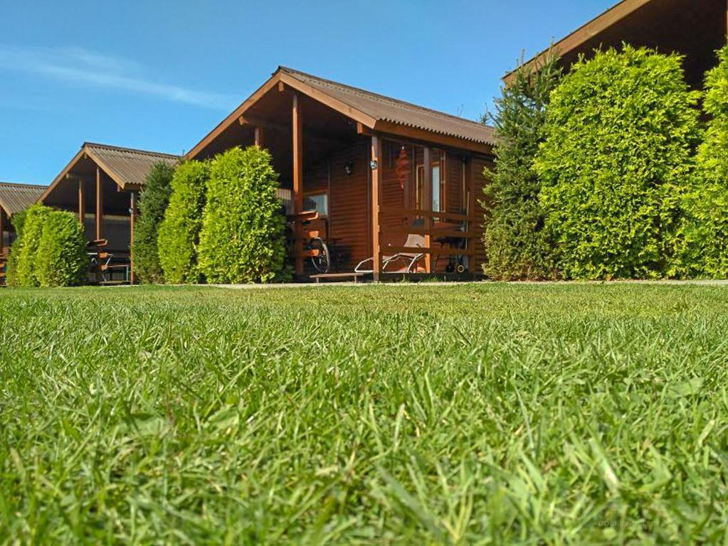 a house with a green lawn in front of it at Domki letniskowe Alma, Wicie in Wicie