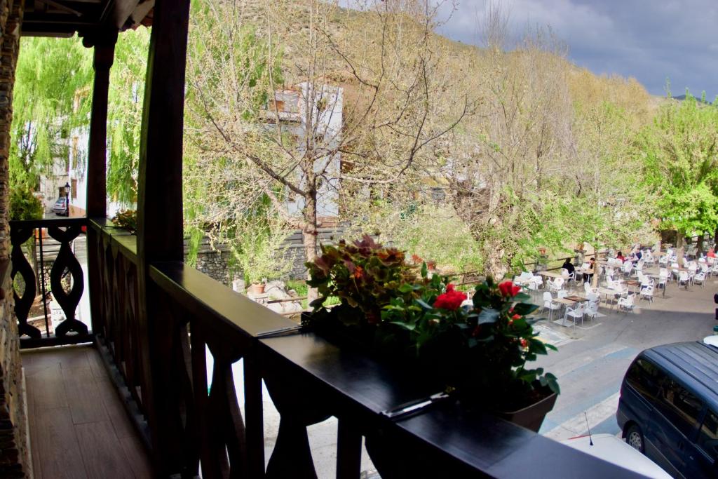 Příroda nedaleko hotelu