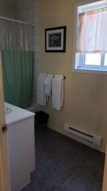 a bathroom with a shower and a sink and towels at Oakwood Motel in Gravenhurst