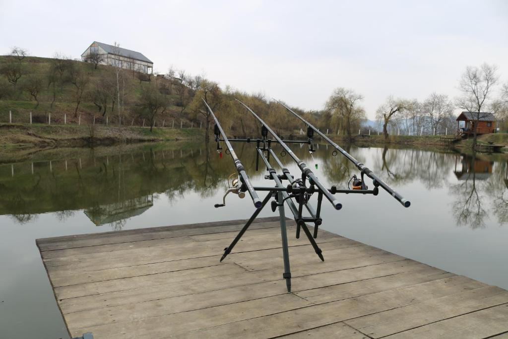 Výhled na řeku, která protéká v blízkosti kempu