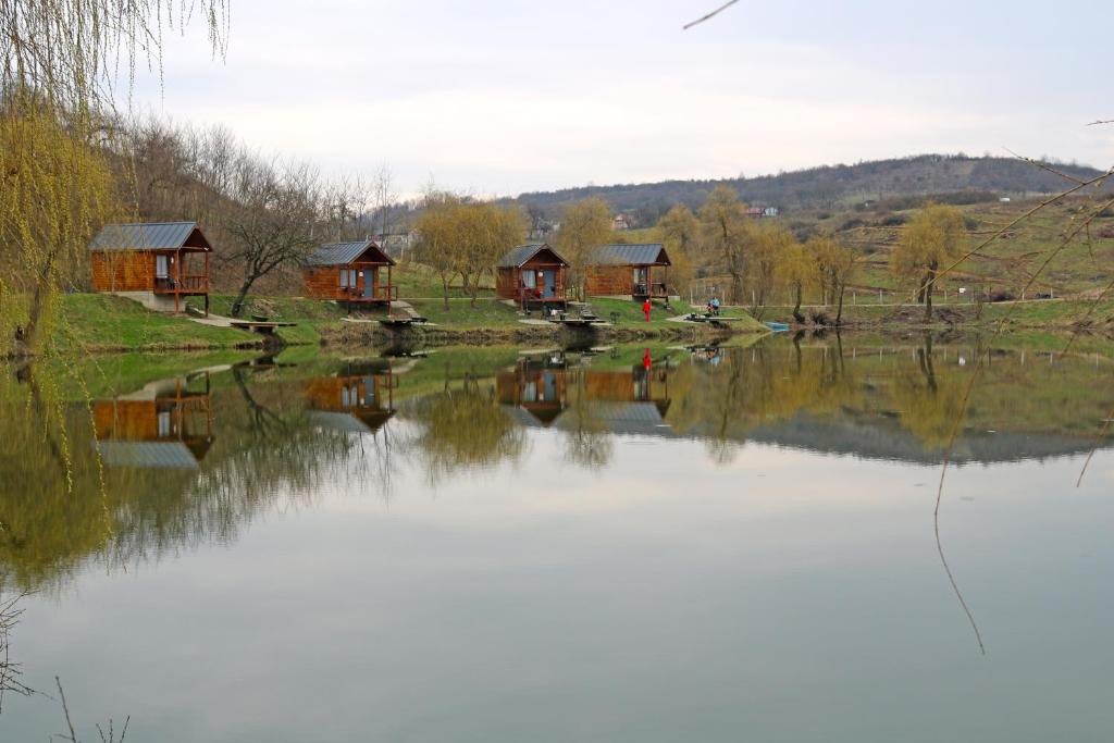Blick auf einen See mit Häusern im Hintergrund in der Unterkunft Cabanute Premium de pescuit in Sînmărghita
