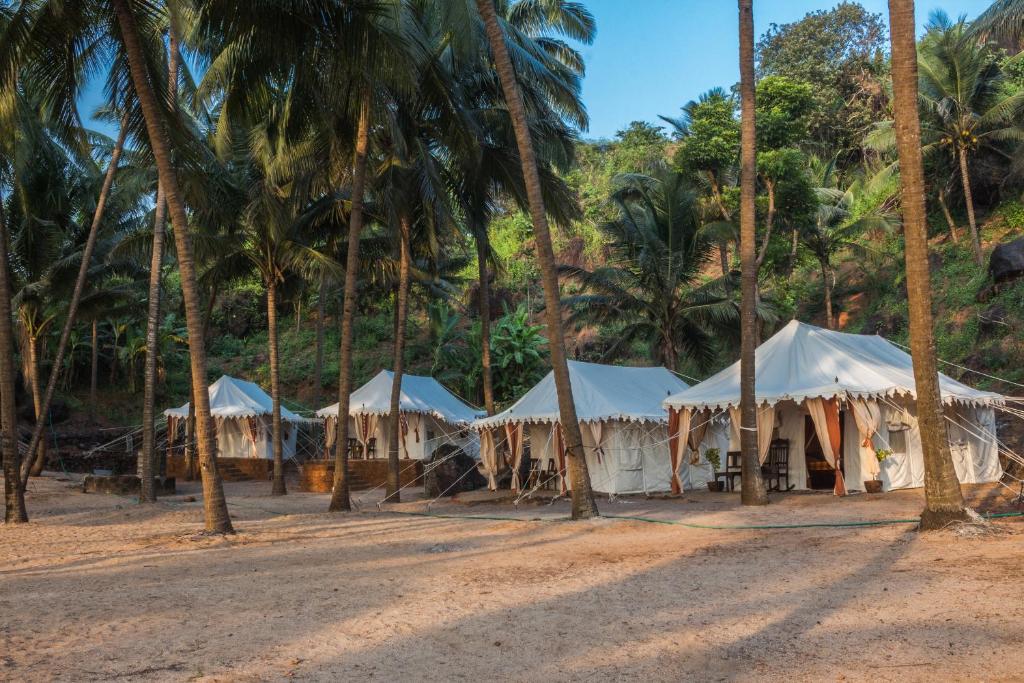 a row of tents in front of palm trees at Soneca Cola in Cola