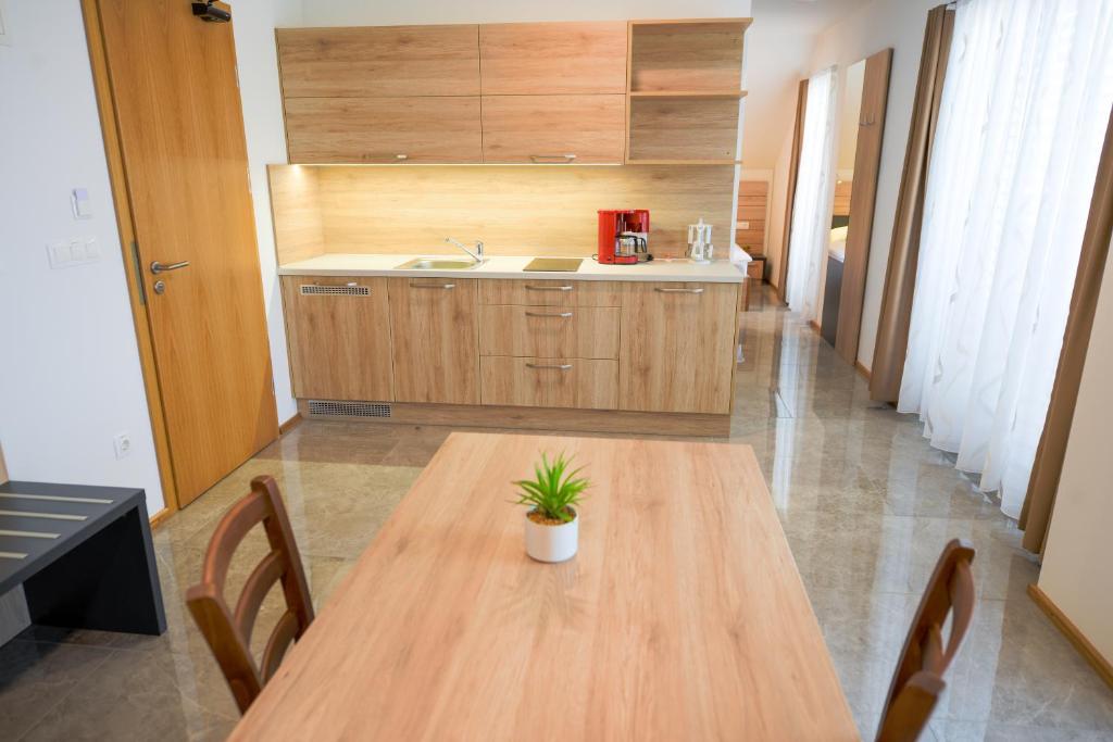 Kuchyň nebo kuchyňský kout v ubytování HOTEL BARON