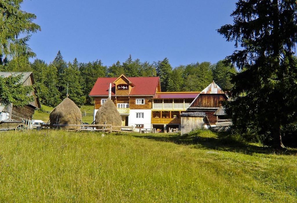 a large house with a grassy field in front of it at Pensiunea Scarisoara in Gheţari