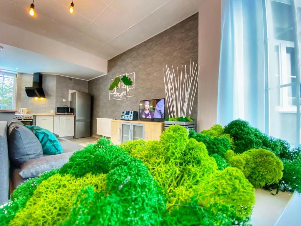 Kuchyň nebo kuchyňský kout v ubytování Apartamenty Paszkówka