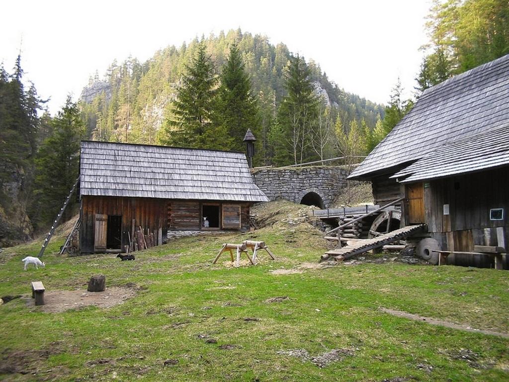 Příroda nedaleko apartmánu
