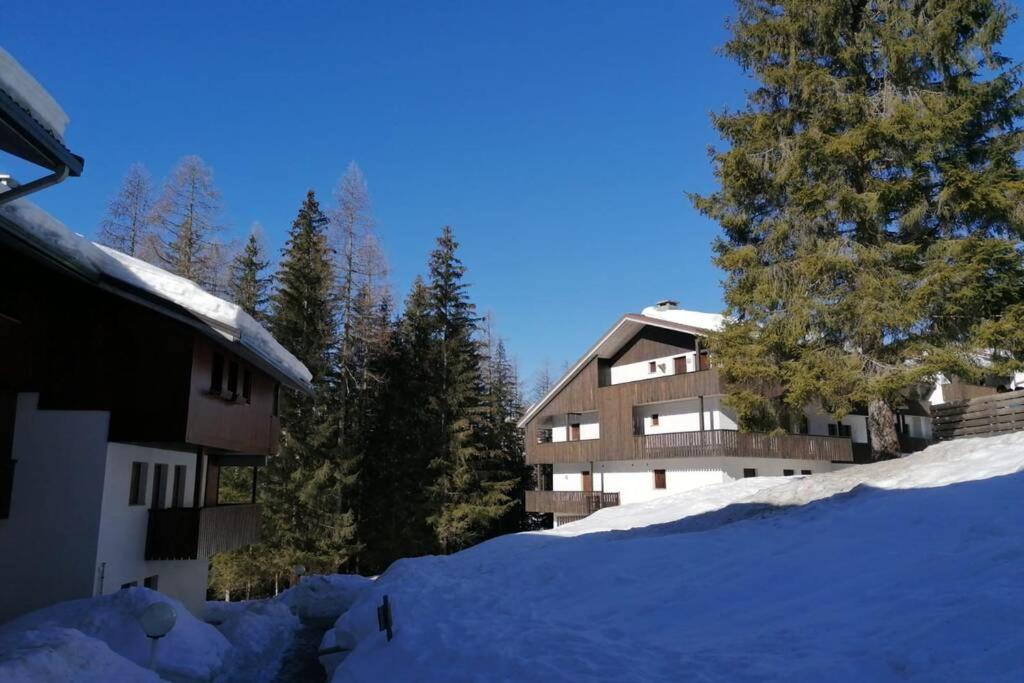 a building in the snow with trees in the background at Wonderful Attic in Dolomite's Heart in Selva di Cadore