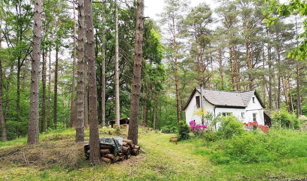 a small white house in the middle of a forest at romantisches kleines altes Häuschen im Zauberwesenwald in Hamburg