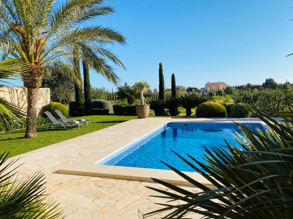 a swimming pool in a yard with palm trees at ☆GEHOBENE FINCA - POOL TRAUMGARTEN PIZZAOFEN A/C☆ in Porto Cristo