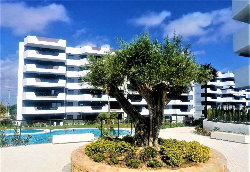 Cosy ground floor apartment with direct access to the pool ...