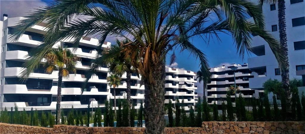 Cosy ground floor apartment with direct access to the pool ...